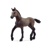  Peruvian Paso Foal SC13954