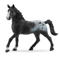 Knappstrupper Stallion LTD ED. SC72197