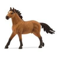 Mustang Stallion LTD ED. SC72200