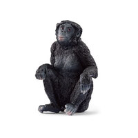 Bonobo Female SC14875