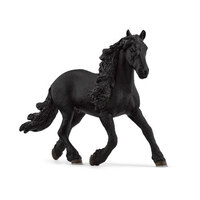 Friesian Stallion SC13975