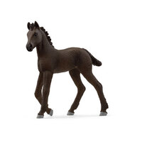 Friesian Foal SC13977