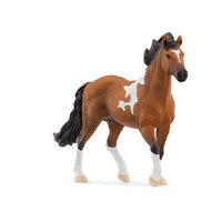 Mangalarga Marchador Stallion SC13978