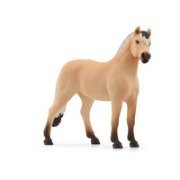 Norwegian Fjord Horse Gelding SC13979