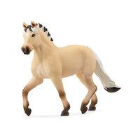 Norwegian Fjord Horse Mare SC13980