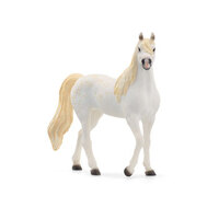 Arab Mare SC13983
