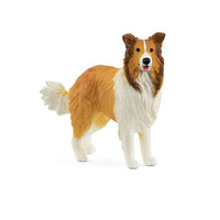 Collie 2025 Release SC13998