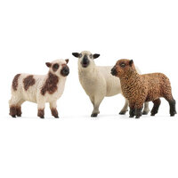 Sheep Friends SC42660
