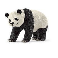 Giant Panda Bears 2025 (SC14885)