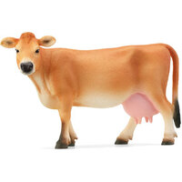 Jersey Cow SC13967