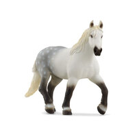 Percheron Mare SC13971