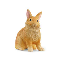 Lionhead Rabbit SC13974