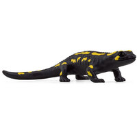 Fire Salamander SC14870