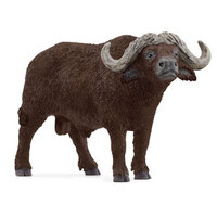 African Buffalo SC14872