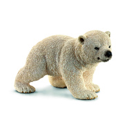 Polar Bear Cub Walking (SC14708)