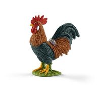  Rooster  SC13825