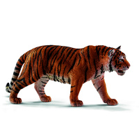 Siberian Tiger (SC14729)