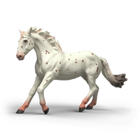 Knabstrupper Mare (SC14917)
