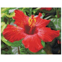 Diamond Dotz DQK8.018 Hibiscus in Bloom 41x32cm white Frame