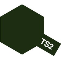 TS-2 Dark Green 100ml Spray 85002