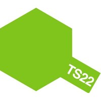 TS-22 Light Green 100ml 85022