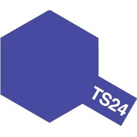 TS-24 Purple 100ml Spray 85024