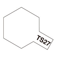 TS-27 Matt White 100ml Spray (85027)