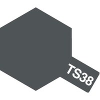 TS-38 Gun Metal Spray 100ml 85038