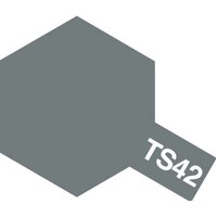 TS-42 Light Gun Metal Spray 100ml 85042