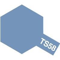 TS-58 Pearl Light Blue Spray 100ml 85058