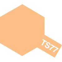 TS-77 Flat Flesh 100ml Spray 85077