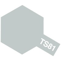 TS-81 Royal Light Gray 100ml 85081