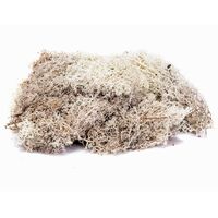 Lichen- Stone Grey 35g  R7193