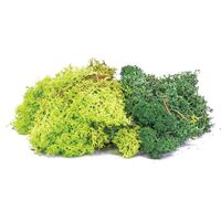 Lichen -Dark Green Mix 35g R7194
