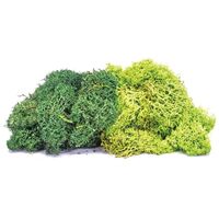 Lichen Green Mix 75g R7195