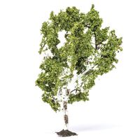 Profi Trees, Birch Tree, 11.5cm R7215 