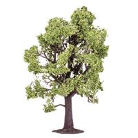 Profi Trees Beech 13cm  R7219 