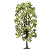 Lime Tree 18.5cm R7221