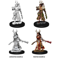 Nolzur's Marvelous Unpainted Miniature Female Human Druid (WZK73701)