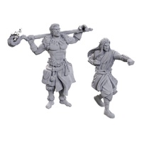 Nolzur&#39;s Marvelous Miniatures : Archdruid &amp; Martial Arts Adept (WZK90695)