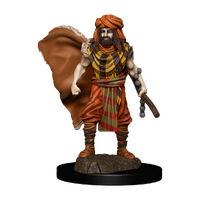 Premium Painted Figures Human Druid Male WZK93031