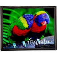 Rainbow Loikeet Framed Postcard Puzzle (048465)