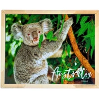 Koala Postcard Framed Puzzle 78pc (048526)