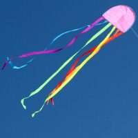 Jelly Fish Children&#39;s Kite (WS-150)