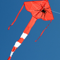 Spider Delta Single String 1 Meter wingspan Kite (WS-831)