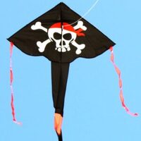 Pirate Delta Single String Kite 832