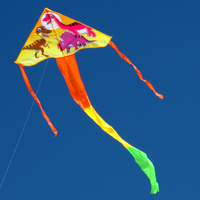Dinosaur Delta, Single String Kite 1 meter wingspan (WS-834)