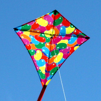 Jellybeans Diamond Single String Kite (WS-860)