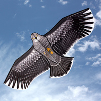 Kites Eagle Single line Kite 1.85m wingspan (WS-861)