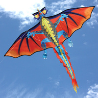 Fire Dragon Single Line Kite 1.4 Metre Wigspan (WS-862)